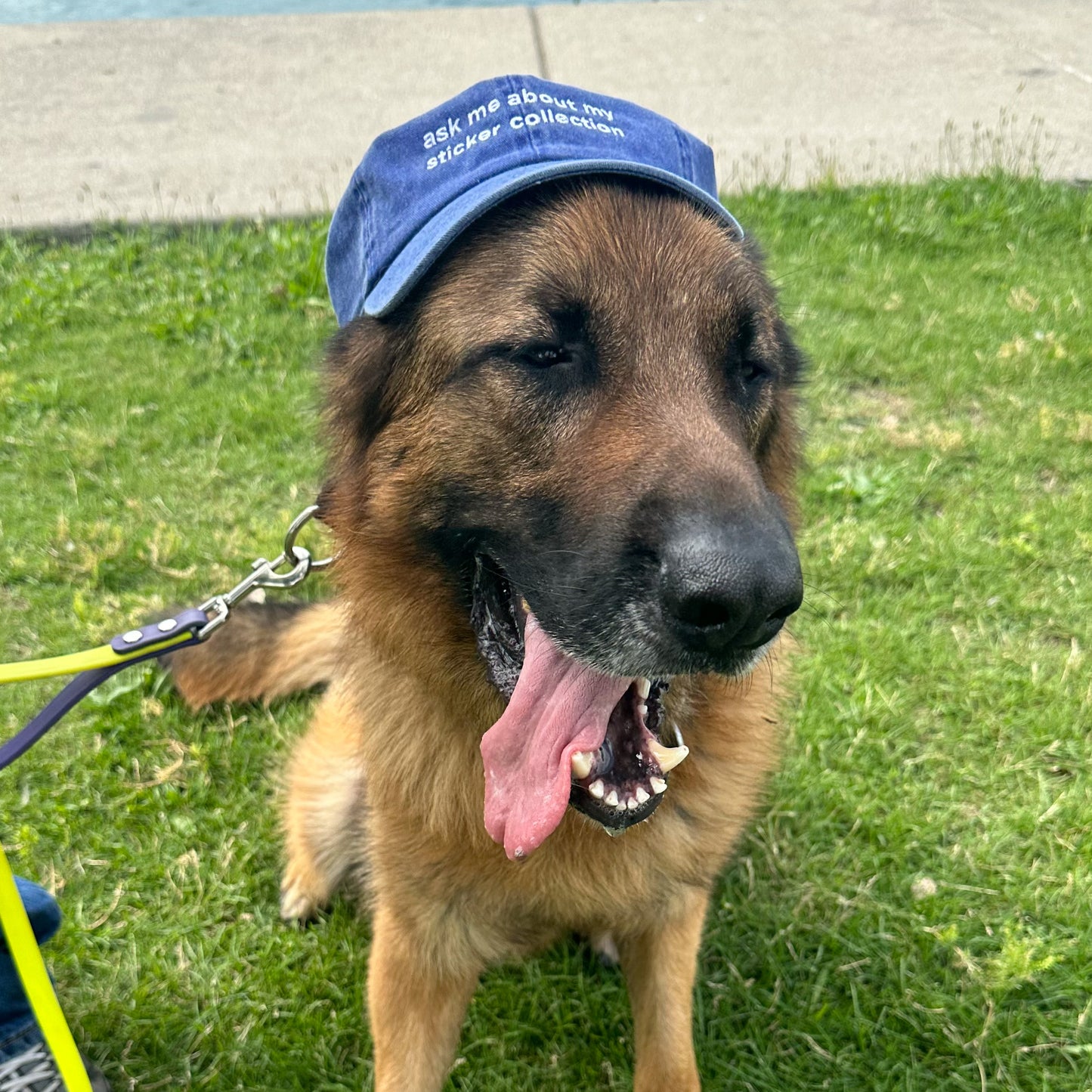 Ask Me About My Sticker Collection - Embroidered Minimalist Washed Blue Dad Hat